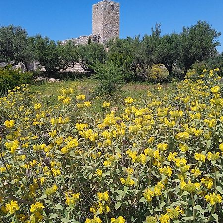 Sotula Daire Erimos Dış mekan fotoğraf